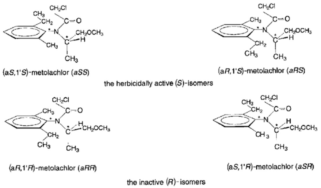 Chloroacetamide