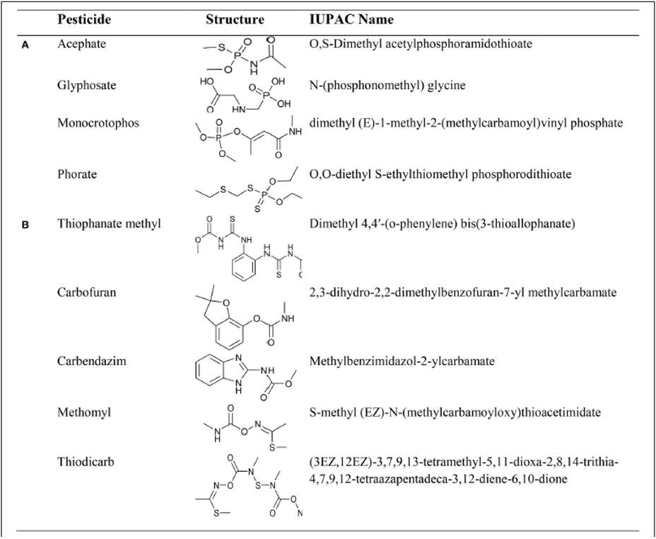 The carbamates and organophosphate molecules