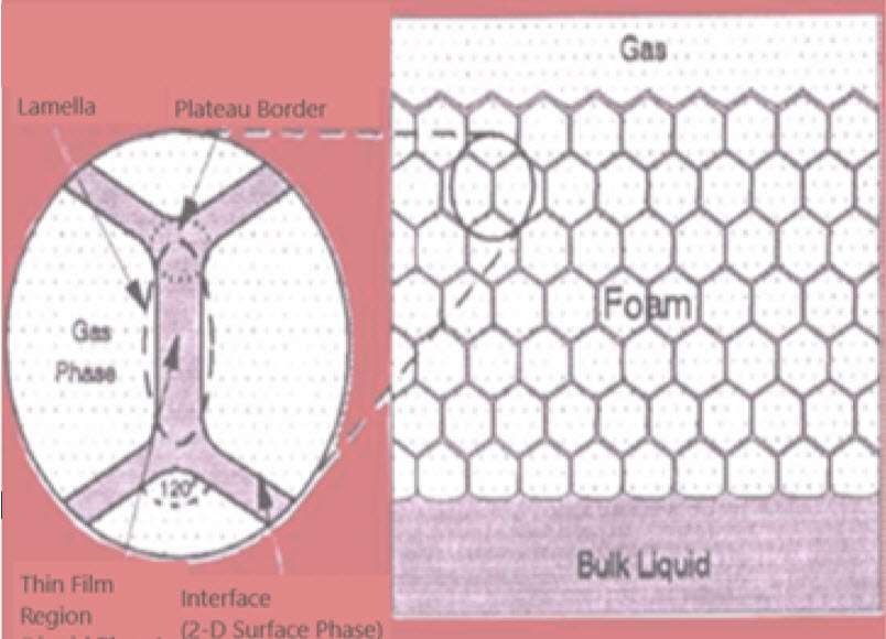 Foam consists of gas bubbles dispersed in a liquid phase