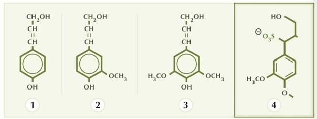 Lignosulphonates