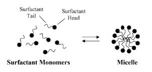 Figure 2: Schematic illustration of the reversible monomer-micelle thermodynamic equilibrium. The black circles represent the surfactant heads (hydrophilic moieties) and the black curved lines represent the surfactant tails (hydrophobic moieties).